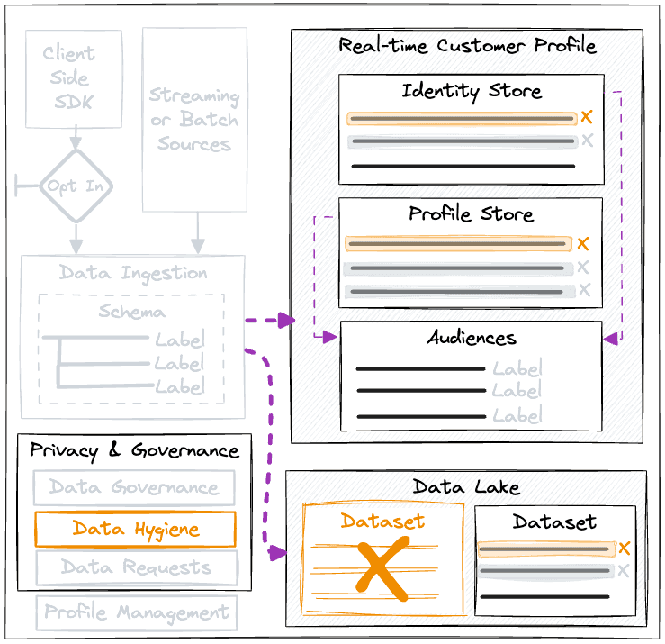 Data lifecycle and hygiene tools in RTCDP